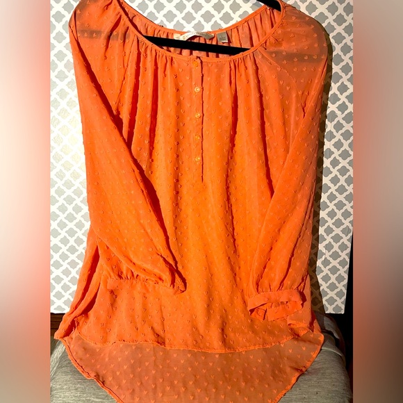 Tops - Coral Lauren Conrad sheer blouse